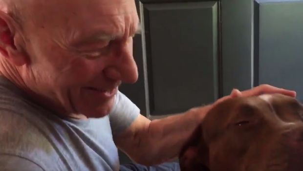 Video of Patrick Stewart Meeting His New Foster Dog Goes Viral