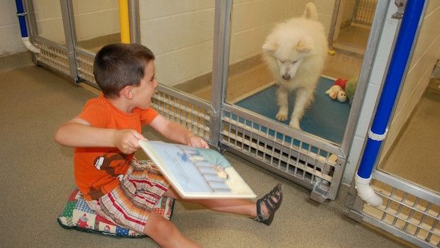 This Organization Encourages Young Kids to Read to Shelter Dogs