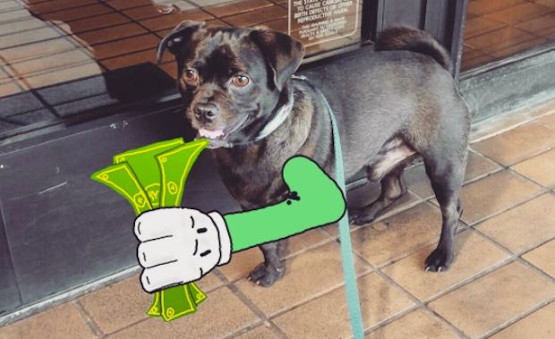 Imaginative Dog Owner Gives His Three-Legged Dog a Cartoon Paw for Super Creative Photos