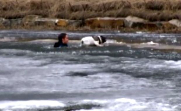 Dramatic Dog Rescue From Icy Pond Caught on Camera