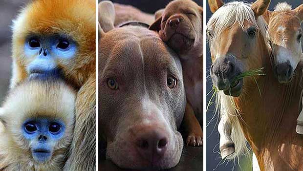 17 Times Littles Looked Exactly Like Their Bigs