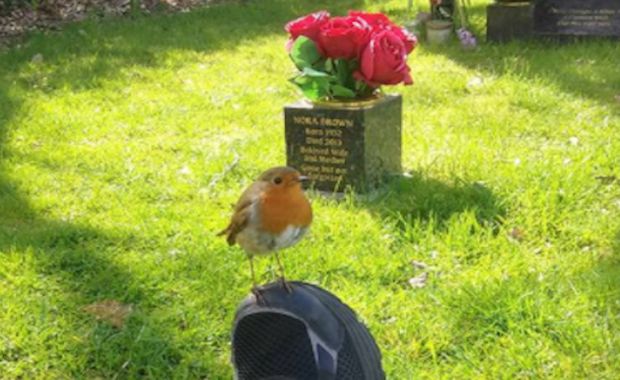 Grieving Mother Gets Heartwarming Surprise When Visiting Son’s Grave