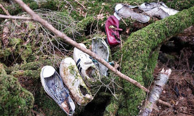 Aokigahara Forest