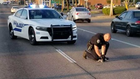 Cop Stops Traffic to Rescue Injured Kitten on a Busy Mississippi Highway