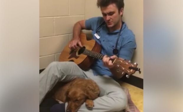 Vet Sings to His Four-Legged Patients to Soothe Their Anxious Souls