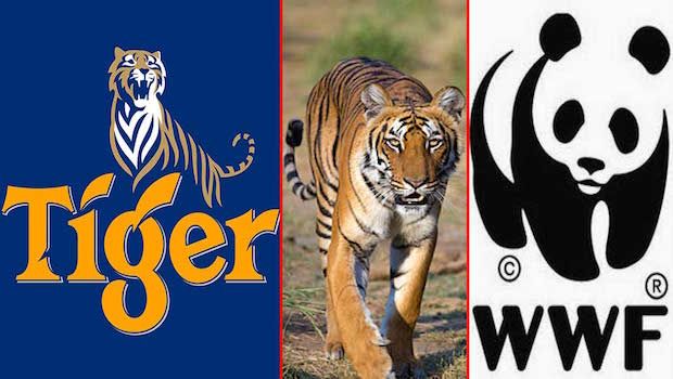 Tiger Beer and the World Wildlife Fund are Teaming Up to Save the World’s Tigers