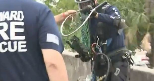 This Rescue Crew Went Above and Beyond to Save a Cat Stuck in a Drain