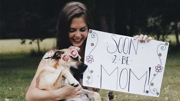 Girl Gives Her Pregnant Dog a Maternity Photo Shoot