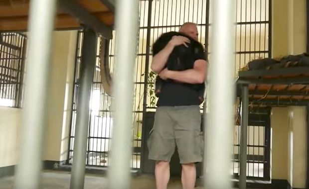 Watch the Beautiful Moment Chimp Reunites With Caretaker 3 Years After Rescue