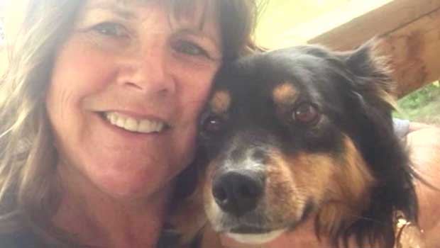 This Rescue Dog Saved Her Owners Life When She Fell Off a Horse