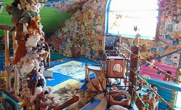 This Arizona Home Is Purr-fect for Cat Lovers