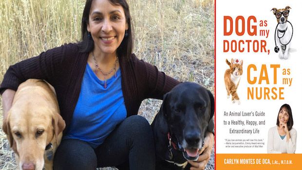 5 Reasons Why Companies Should Celebrate Bring Your Dog to Work Day