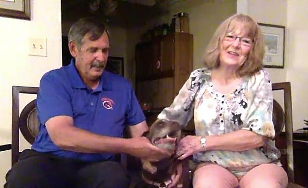 Facebook User Reunites Lost Dog With Family After Missing for Nine Months