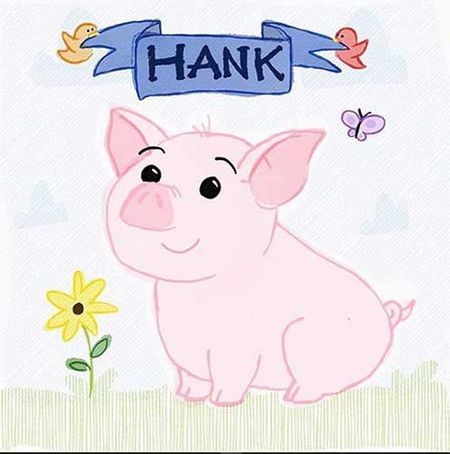hank the pot belly pig