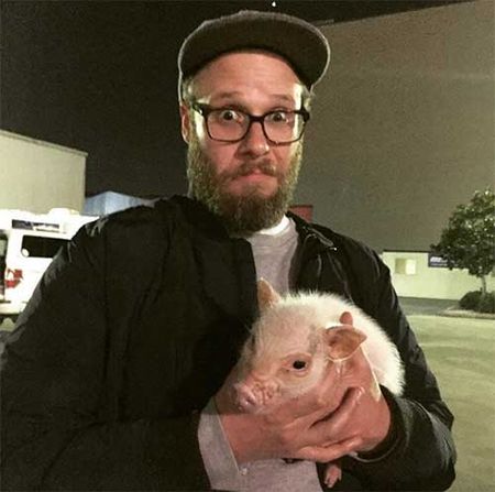 hank the pot belly pig