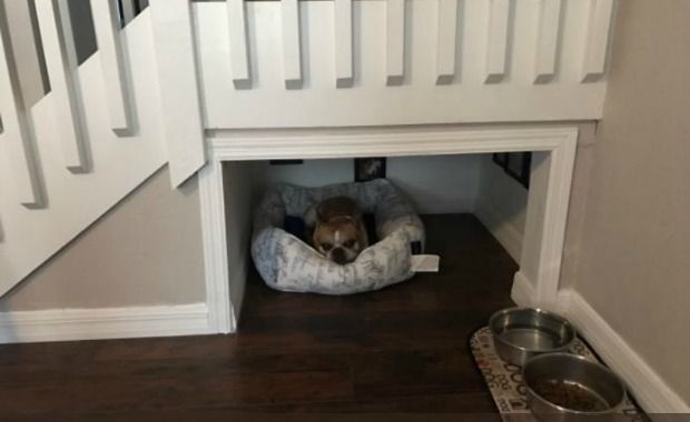 Dad Custom Builds Room Under the Stairs Just for His Dog