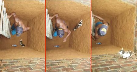 This Man Climbed Down a Hole to Rescue a Cat, and What the Animal Did Next Left His Buddies in Stitches