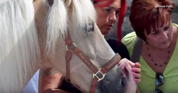 Watch This Heartwarming Reunion Between a Dying Woman and Her Horse