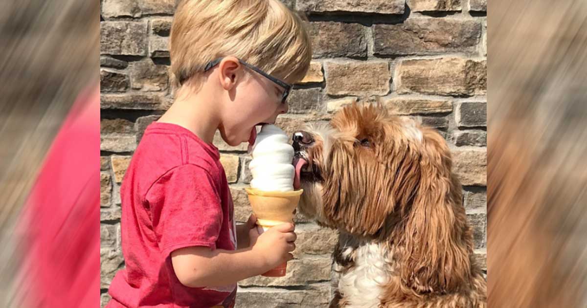Foster Child, Labradoodle Do Everything Together – And It’s Beyond Adorable