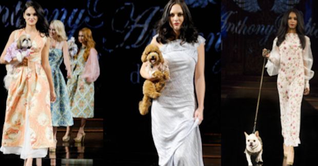 Adorable Dogs Steal the Runway During New York Fashion Week