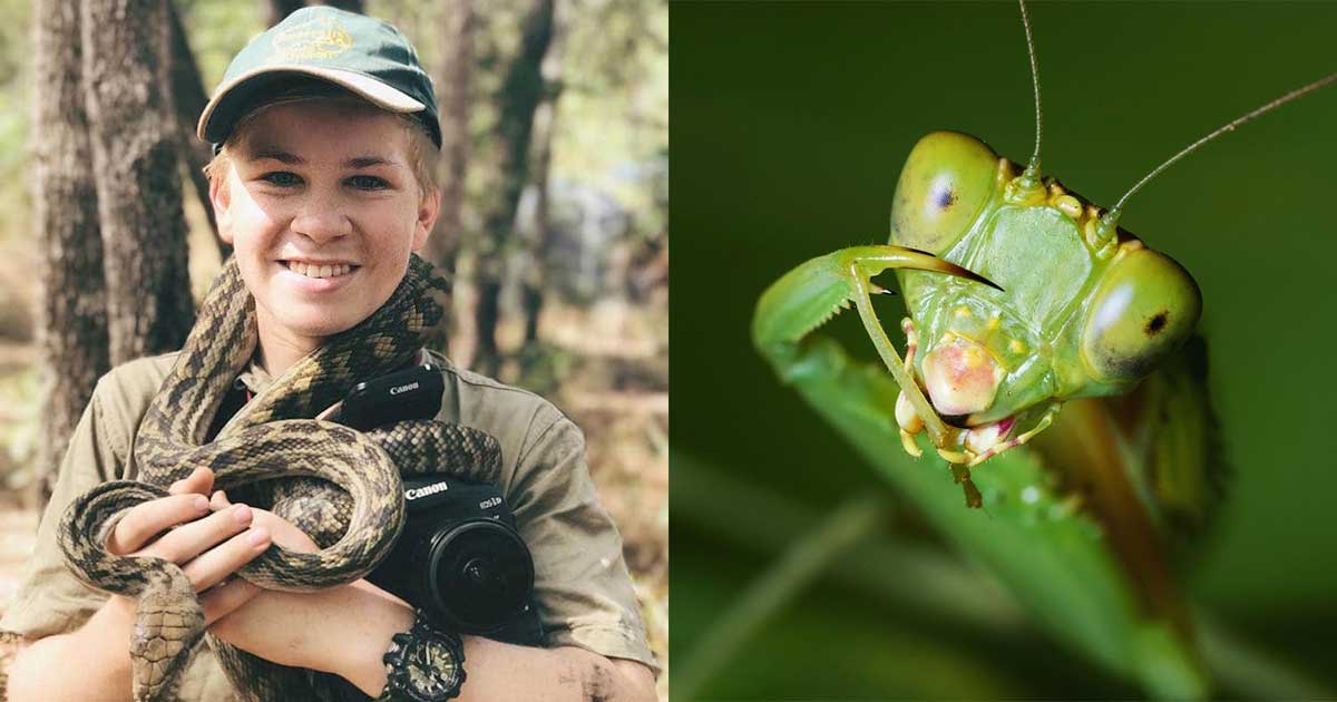 ‘Crocodile Hunter’ Steve Irwin’s Son Takes Stunning Wildlife Photos