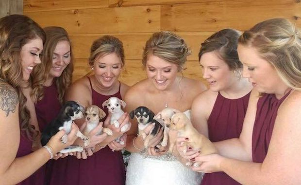 Forget the Flowers! Woman Uses Rescue Puppies as Bouquets During Her Wedding