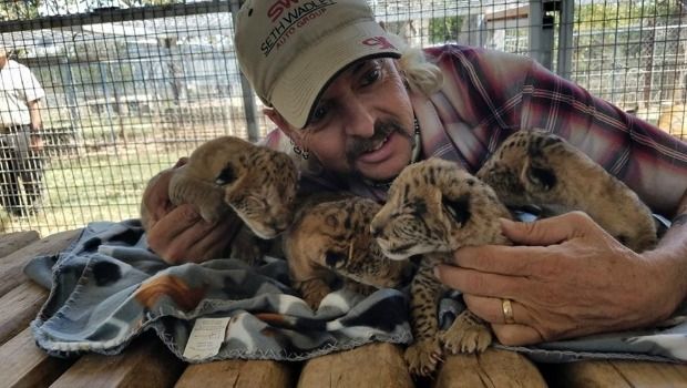 Oklahoma Zoo Welcomes First Male Litter of ‘LiLigers’