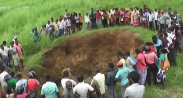 baby elephants rescued