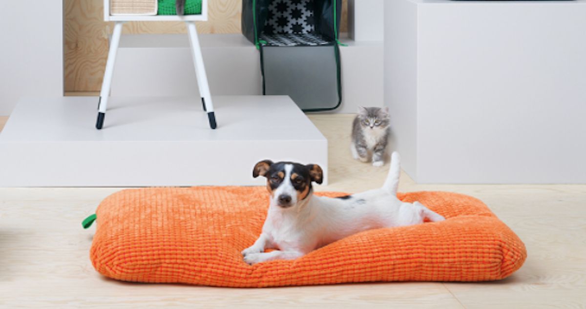 IKEA Is Finally Making Furniture for Pets