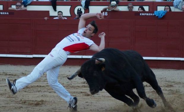 bull leaping