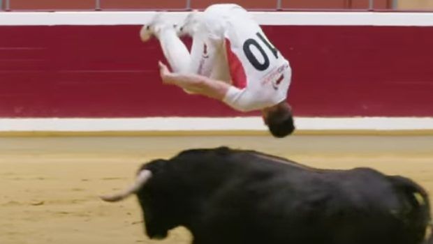 bull leaping