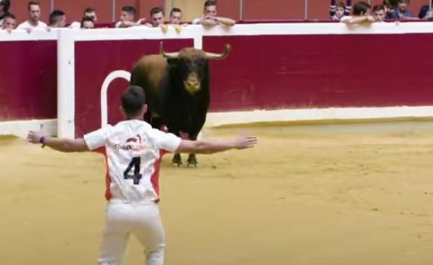 bull leaper