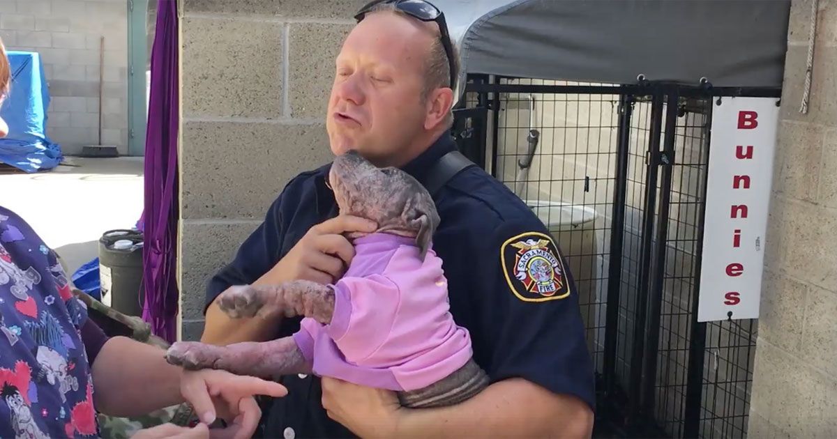 California Firefighter Adopts Sick, Shivering Puppy After Crew Rescues It