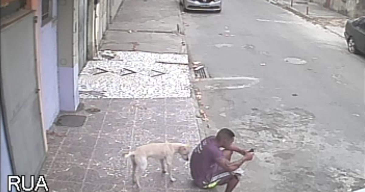 This Dog Mixed up a Person and a Fire Hydrant, With Predictable yet Hilarious Results