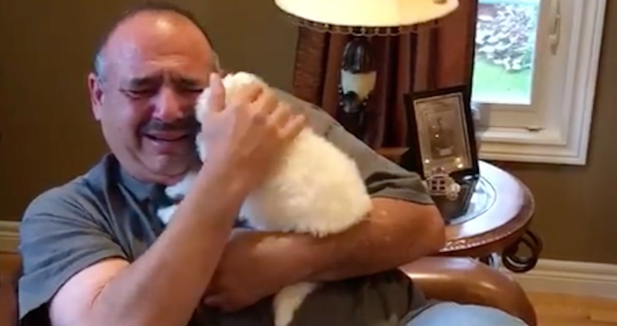 man surprised by puppy