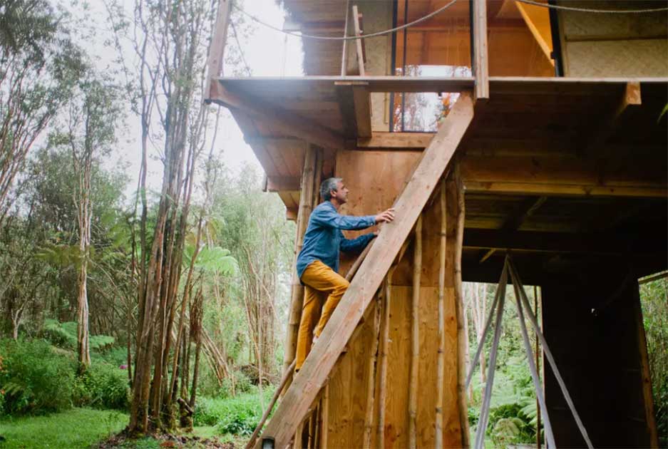 airbnb tree house