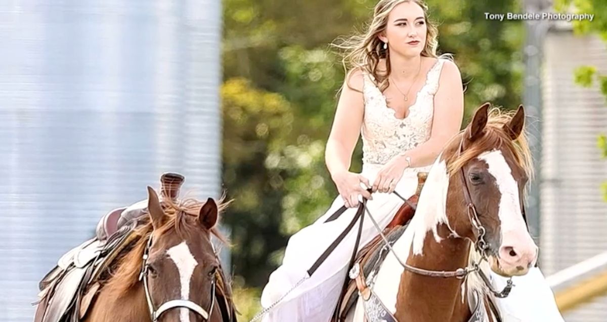 Patti Womer horse wedding
