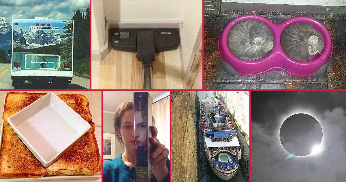 Things Fitting Perfectly: These Images Are Surprising Satisfying