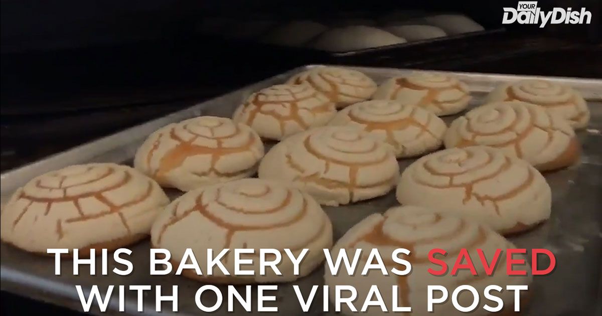 Dedicated Daughter Saves Her Father’s Bakery After Tweet, Video Go Viral