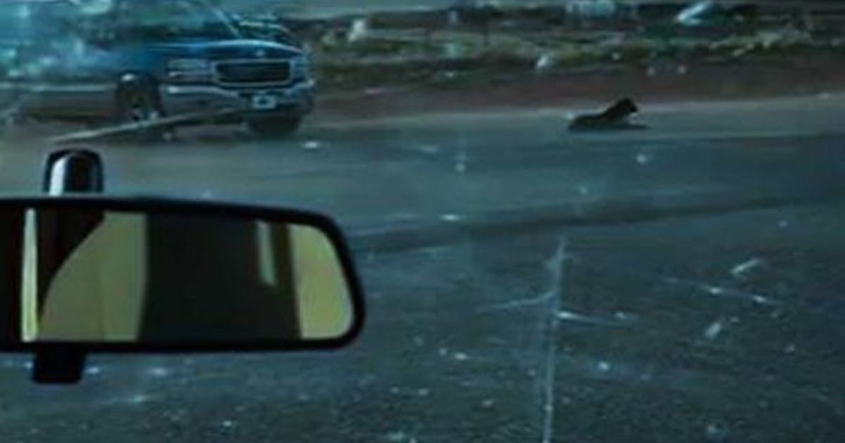 Heroic Man Rescues Dog During Storm, Ends up Saving Her Life