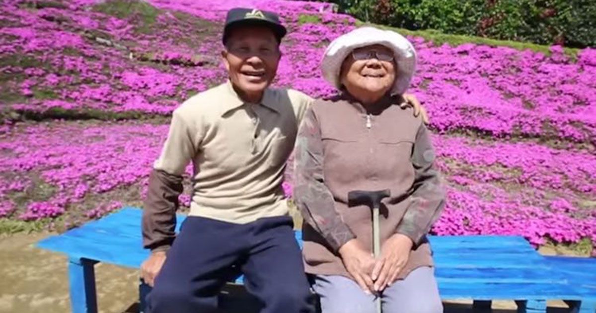 Devoted Husband Plants Enormous Garden of Flowers for His Blind Wife to Smell