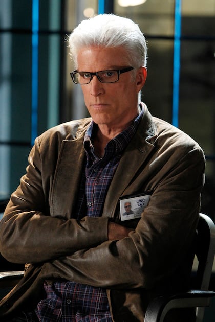 CSI Cast Now: Where Are the Stars of CSI Today?