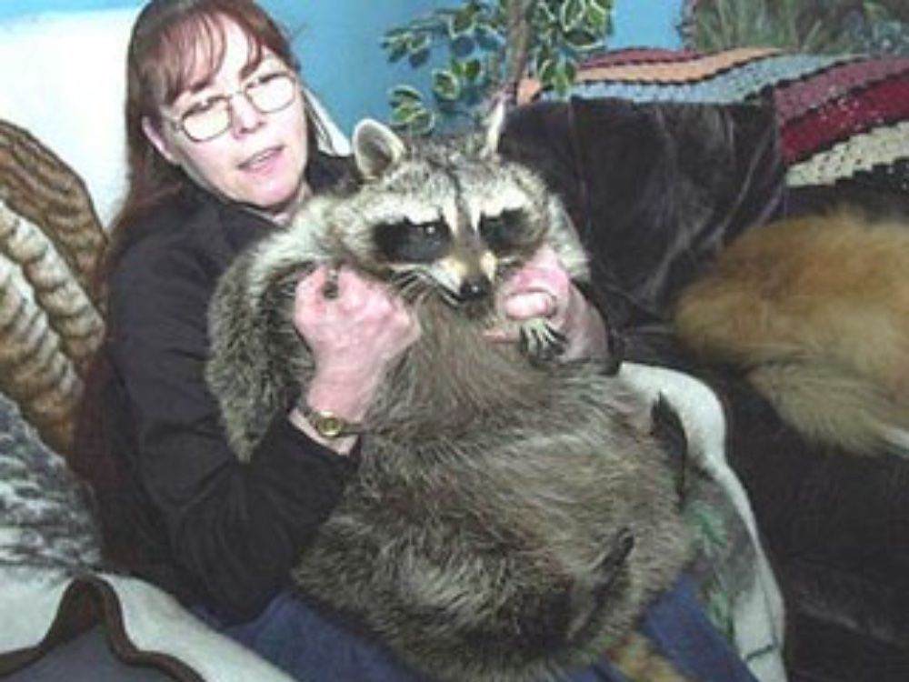Giant Animals that Actually Exist Across the World Giant Animals that Actually Exist Across the World
