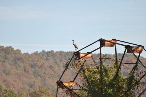 the-haunting-history-of-a-former-west-virginia-amusement-park