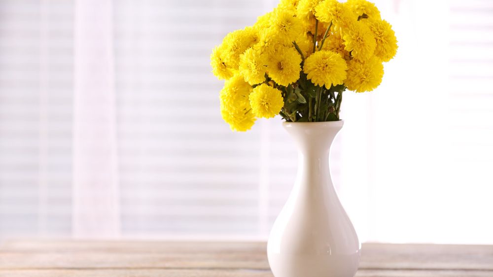 Baking Soda Hacks That Will Improve Your Life Significantly