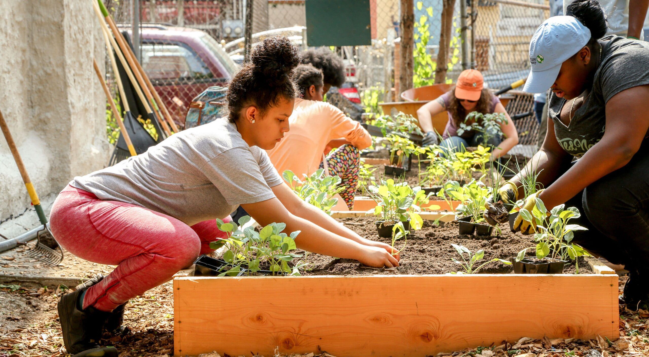 The Advantages of Having a Community Garden