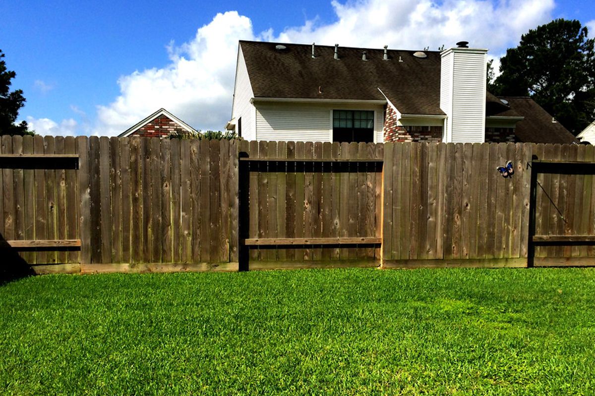 11 Affordable Backyard Fencing Solutions
